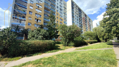 Mieszkanie Wynajem Łódź Łódź-Polesie